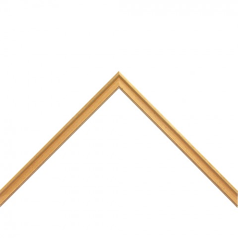 3620GO