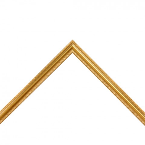 3646BG