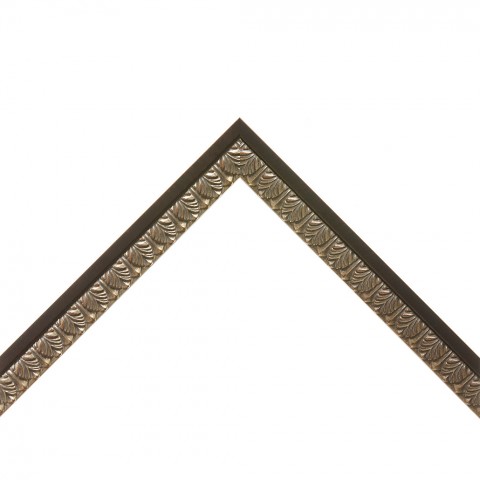4251PS