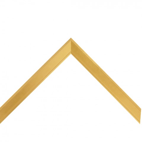 4461CG
