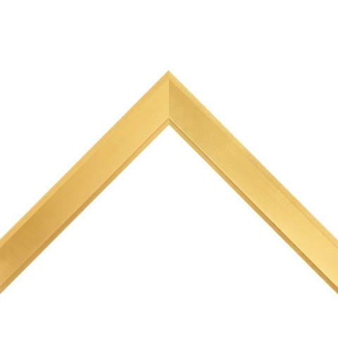 4462CG