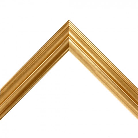 5250GO
