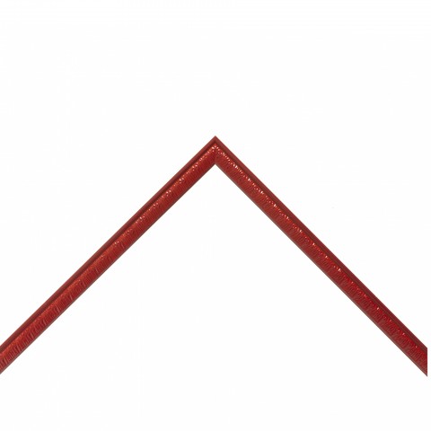 5541RD