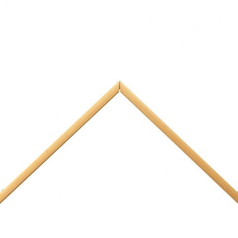 7101CL