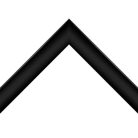 7817BL