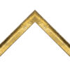 5906GOx